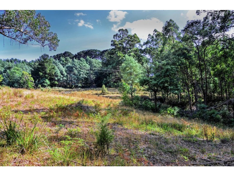 35 Hansens Road, Highcroft TAS 7183