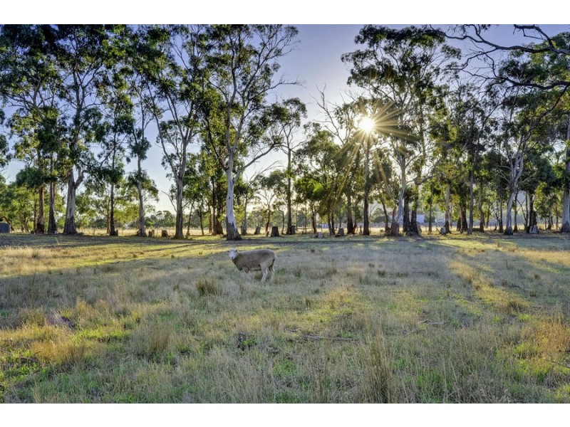 701 Arthur Highway, Forcett TAS 7173