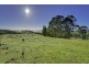 Lot 1 Grooms Hill Rd, Koonya TAS 7187