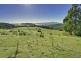 Lot 1 Grooms Hill Rd, Koonya TAS 7187