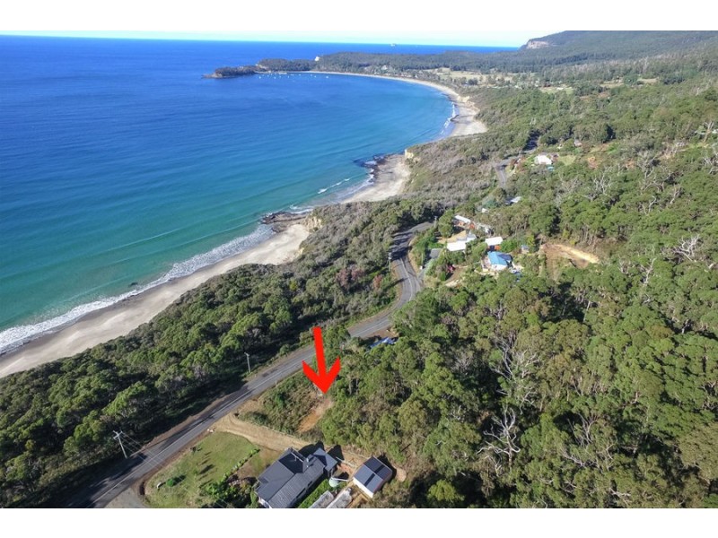 74 Blowhole Road, Eaglehawk Neck TAS 7179
