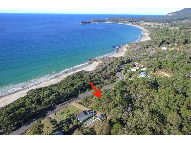 74 Blowhole Road, Eaglehawk Neck TAS 7179