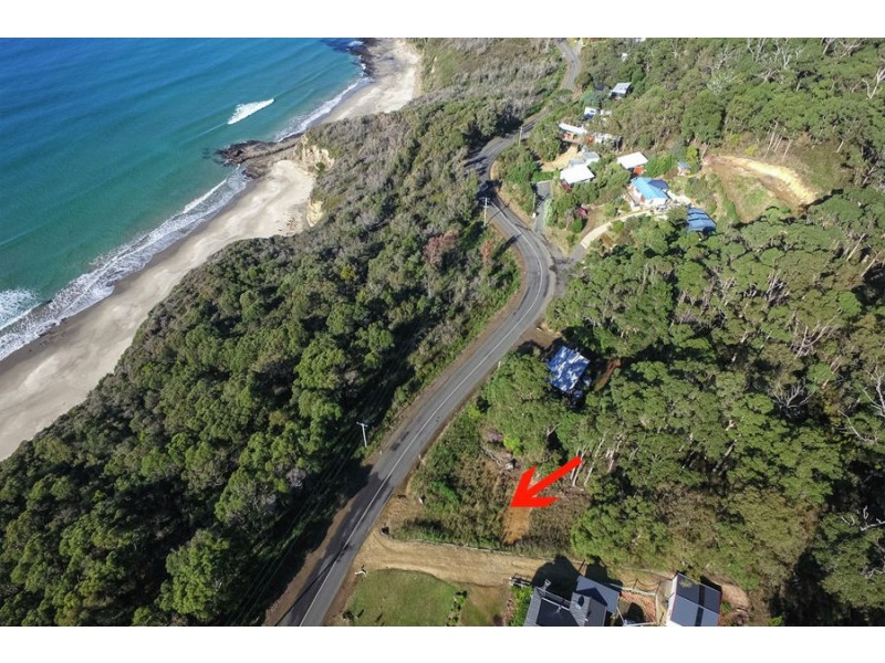 74 Blowhole Road, Eaglehawk Neck TAS 7179