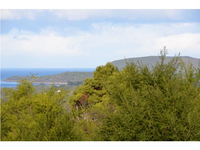 Lot 1/160 North Street, Port Arthur TAS 7182
