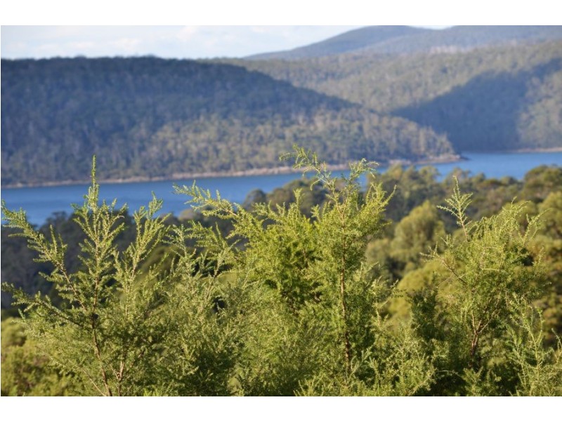 Lot 1/160 North Street, Port Arthur TAS 7182