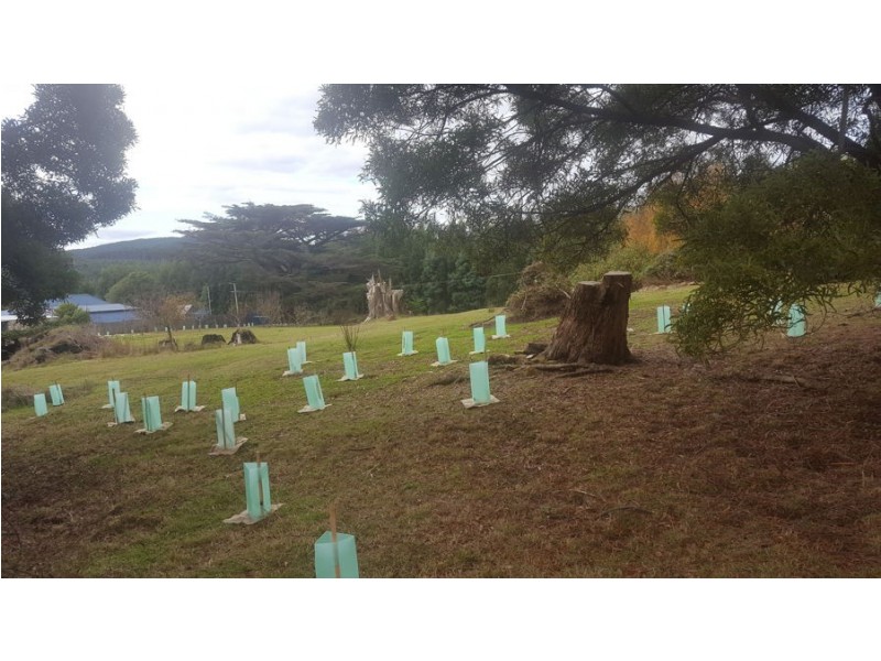 96 Radnor Road, Port Arthur TAS 7182