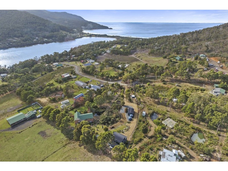 42 Ferntree Road, Eaglehawk Neck TAS 7179