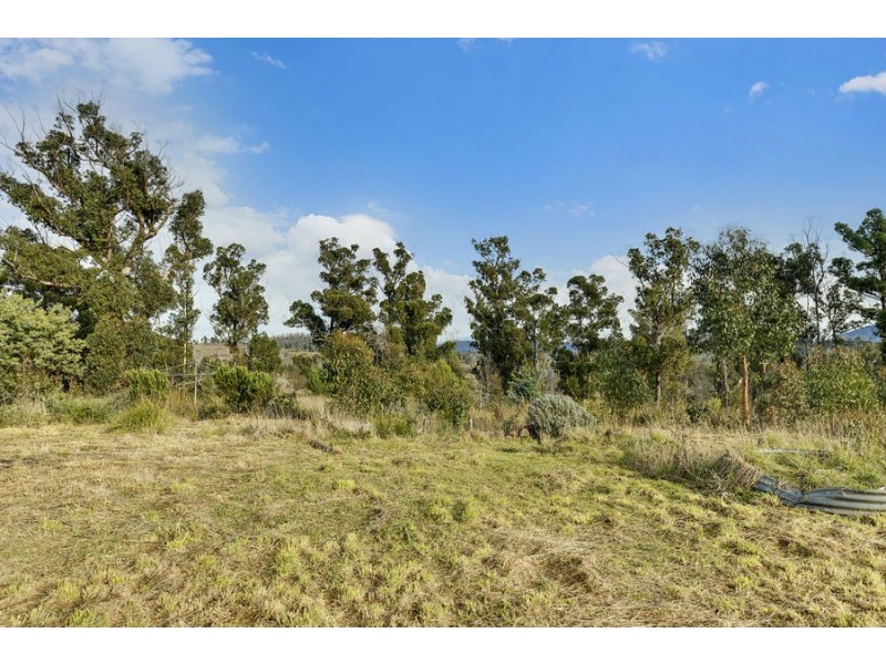 2434 Arthur Highway, Copping TAS 7174