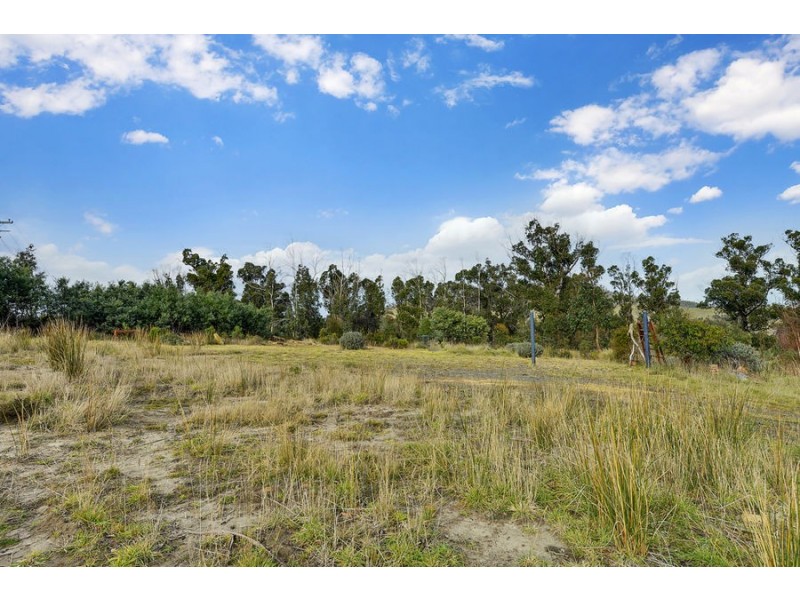2434 Arthur Highway, Copping TAS 7174