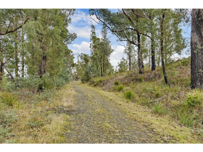 2434 Arthur Highway, Copping TAS 7174