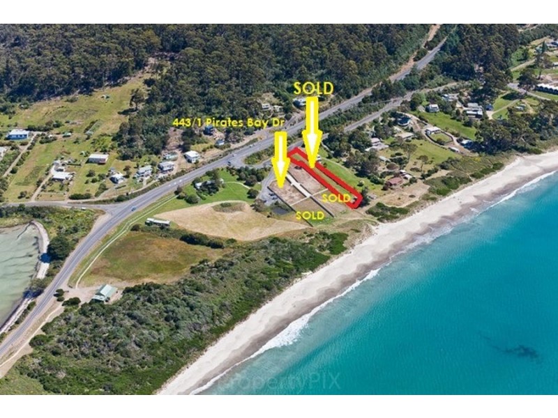 443 / 1 Pirates Bay Drive, Eaglehawk Neck TAS 7179