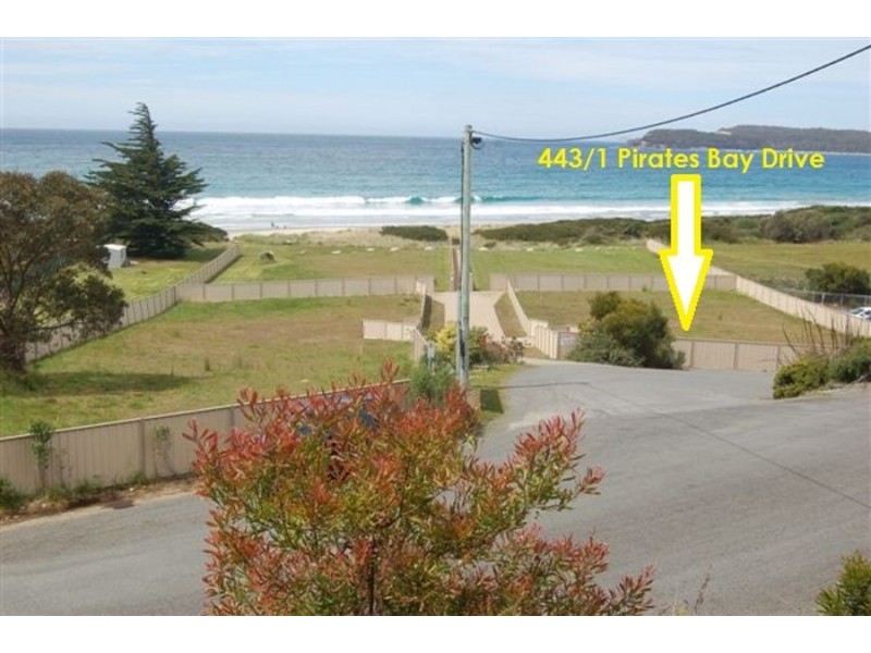 443 / 1 Pirates Bay Drive, Eaglehawk Neck TAS 7179