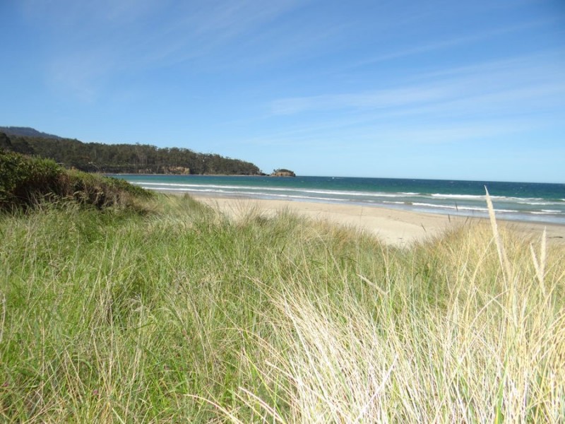 443 / 1 Pirates Bay Drive, Eaglehawk Neck TAS 7179