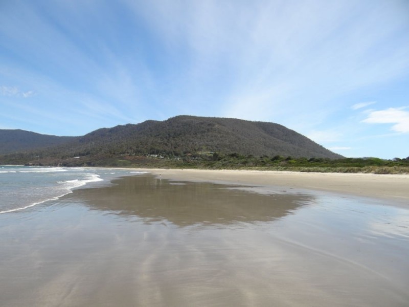 443 / 1 Pirates Bay Drive, Eaglehawk Neck TAS 7179