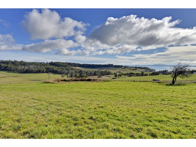 100 Jones Road, Premaydena TAS 7185