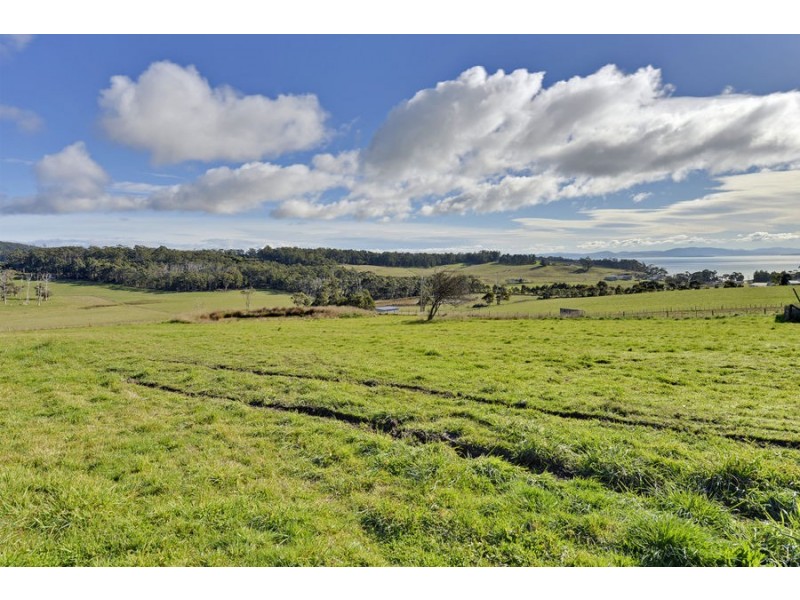 100 Jones Road, Premaydena TAS 7185