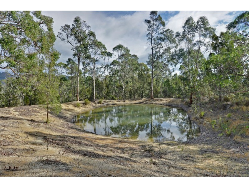 311 Gwandalan Road, Sloping Main TAS 7186