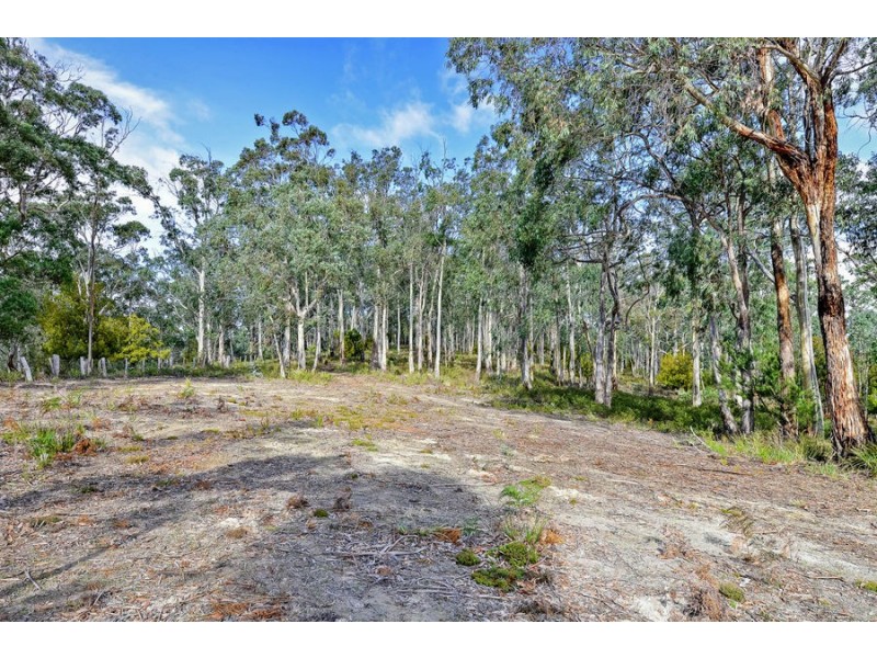 311 Gwandalan Road, Sloping Main TAS 7186
