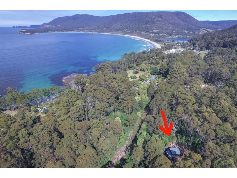 311 Pirates Bay Drive, Eaglehawk Neck TAS 7179