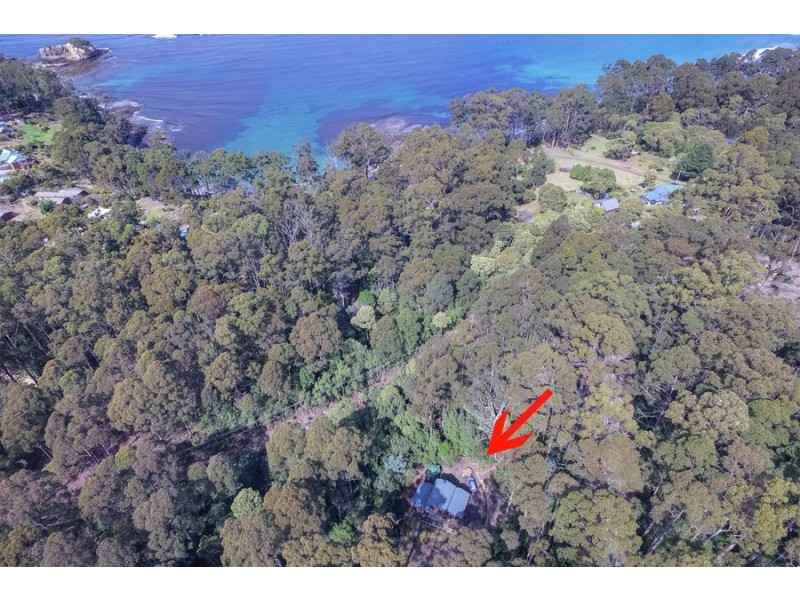 311 Pirates Bay Drive, Eaglehawk Neck TAS 7179