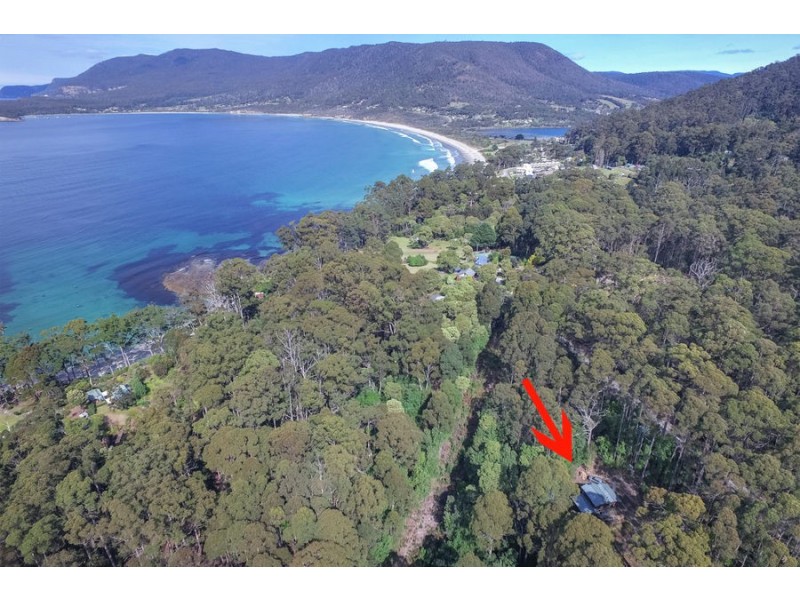 311 Pirates Bay Drive, Eaglehawk Neck TAS 7179