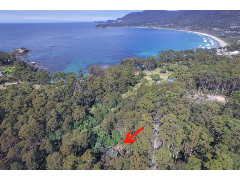 311 Pirates Bay Drive, Eaglehawk Neck TAS 7179