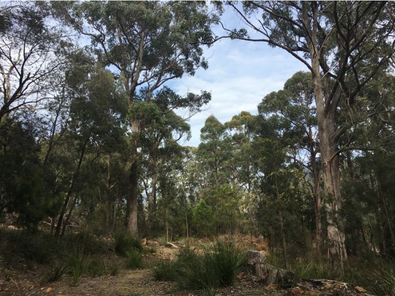 15 Andersons Road, Port Arthur TAS 7182