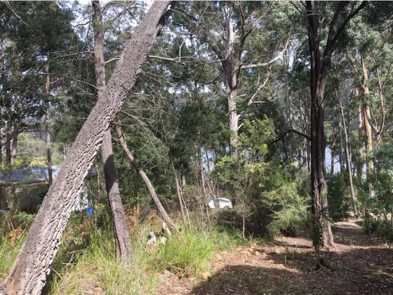 15 Andersons Road, Port Arthur TAS 7182