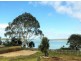 255 Lewisham Scenic Drive, Lewisham TAS 7173