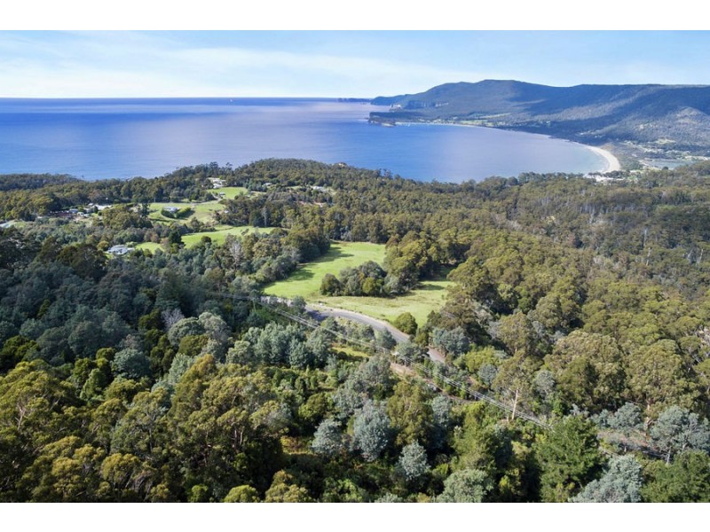 Lot 1 Pirates Bay Drive, Eaglehawk Neck TAS 7179