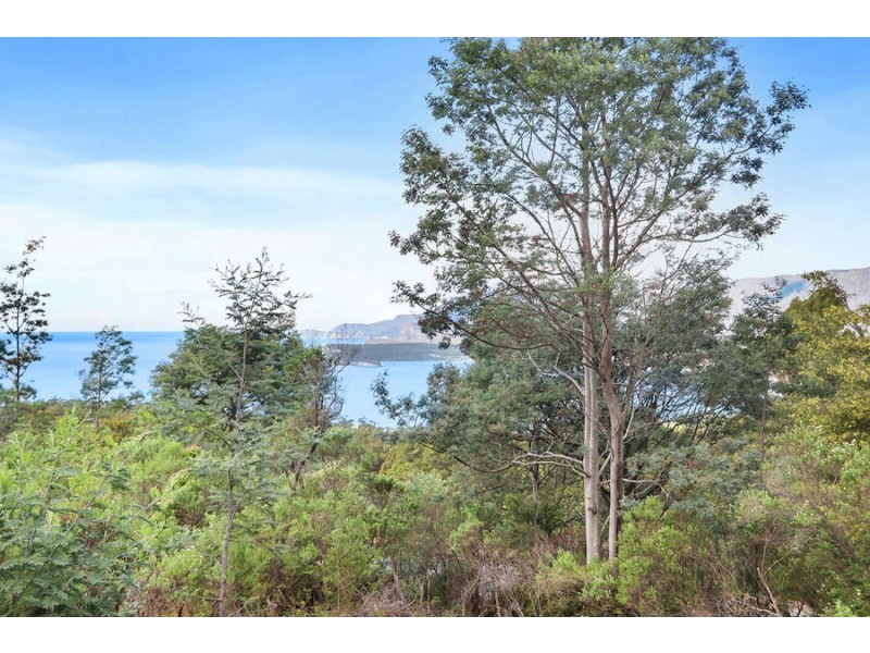 Lot 1 Pirates Bay Drive, Eaglehawk Neck TAS 7179