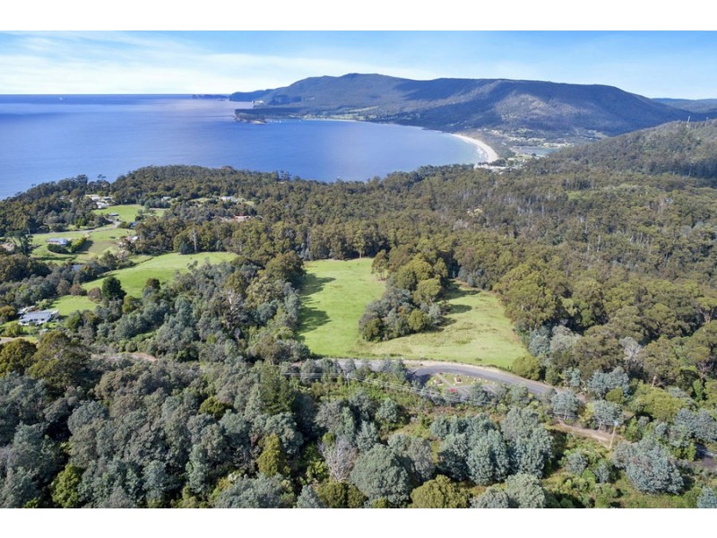 Lot 1 Pirates Bay Drive, Eaglehawk Neck TAS 7179
