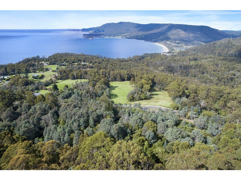 Lot 1 Pirates Bay Drive, Eaglehawk Neck TAS 7179