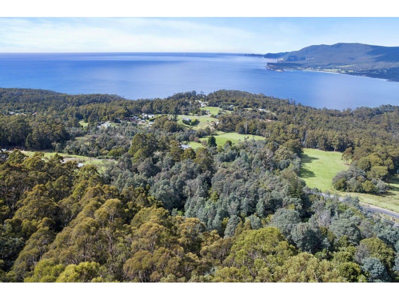 Lot 1 Pirates Bay Drive, Eaglehawk Neck TAS 7179