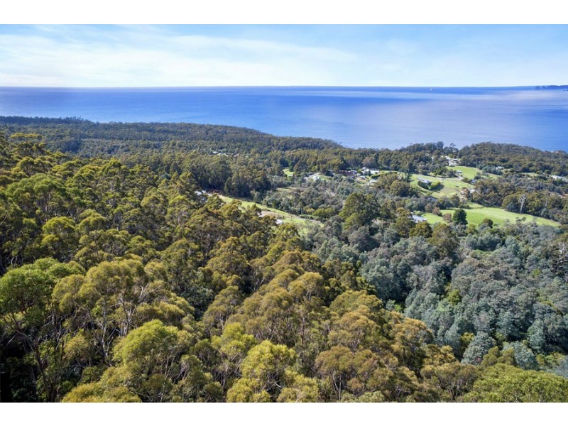 Lot 1 Pirates Bay Drive, Eaglehawk Neck TAS 7179