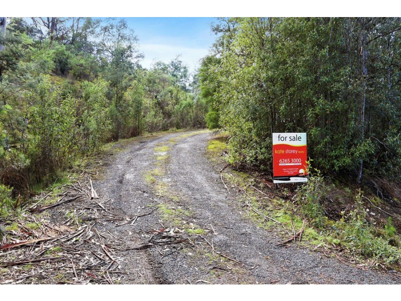 Lot 1 Pirates Bay Drive, Eaglehawk Neck TAS 7179