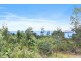 Lot 1 Pirates Bay Drive, Eaglehawk Neck TAS 7179