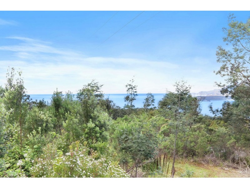 Lot 1 Pirates Bay Drive, Eaglehawk Neck TAS 7179