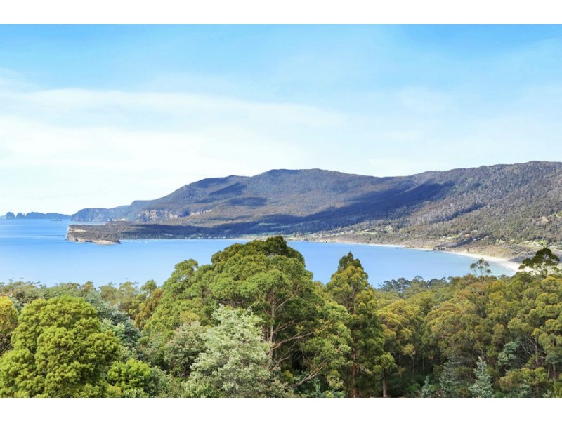 Lot 1 Pirates Bay Drive, Eaglehawk Neck TAS 7179