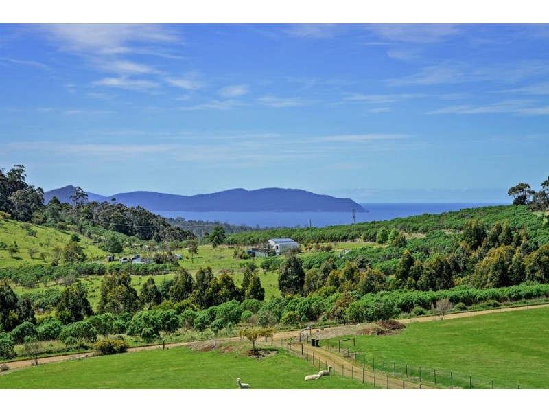 823 Bream Creek Road, Kellevie TAS 7176