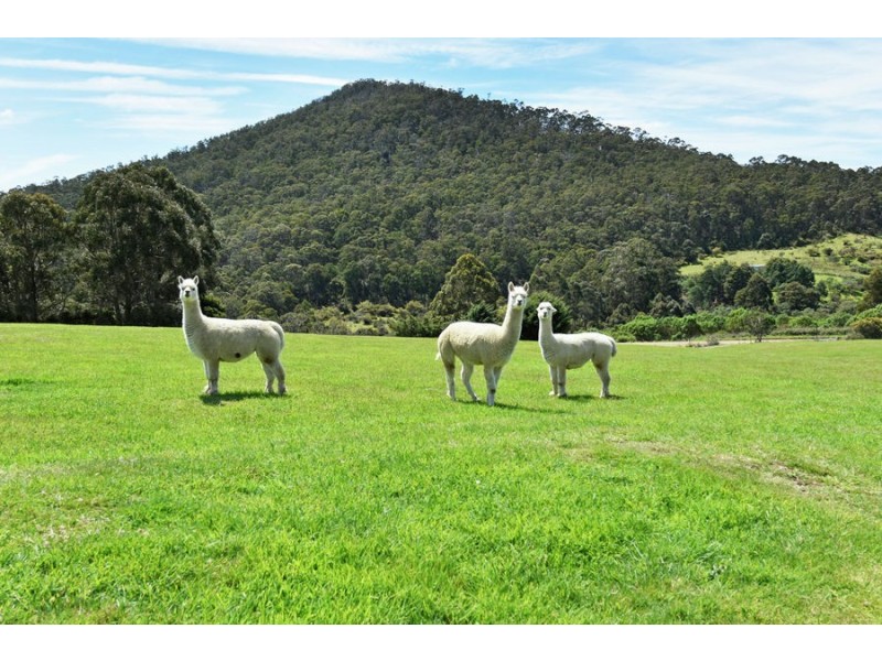 823 Bream Creek Road, Kellevie TAS 7176