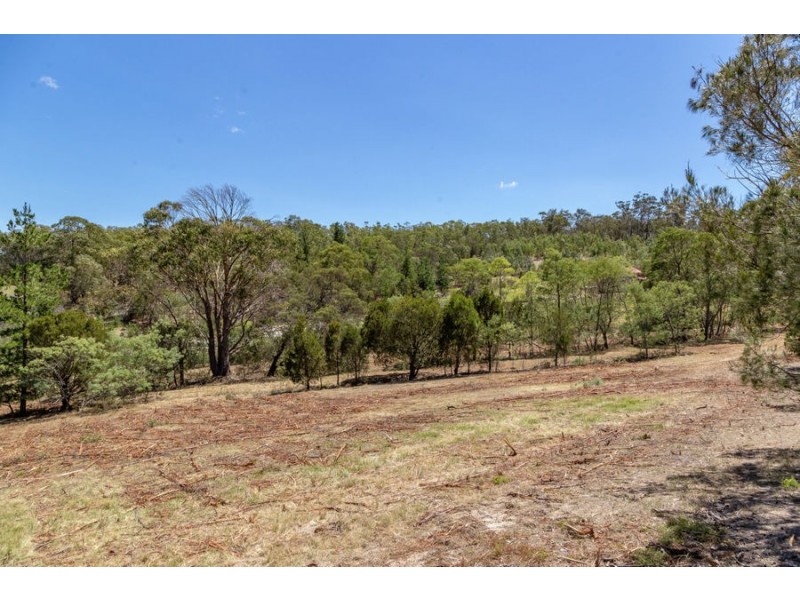 4 Grierson Drive, Forcett TAS 7173