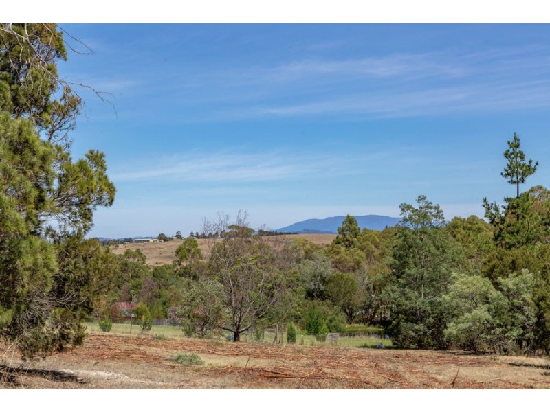 4 Grierson Drive, Forcett TAS 7173