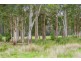 58 Heywards Road, Koonya TAS 7187