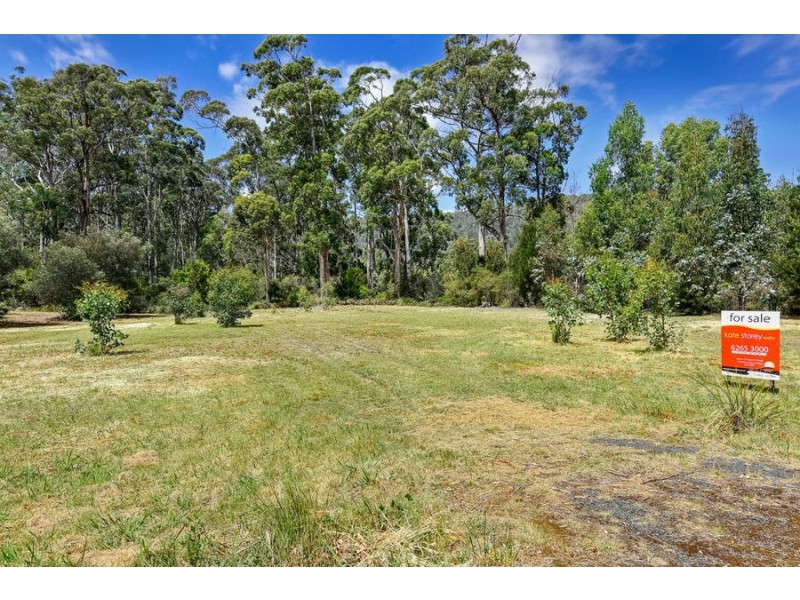 199 White Beach Road, White Beach TAS 7184