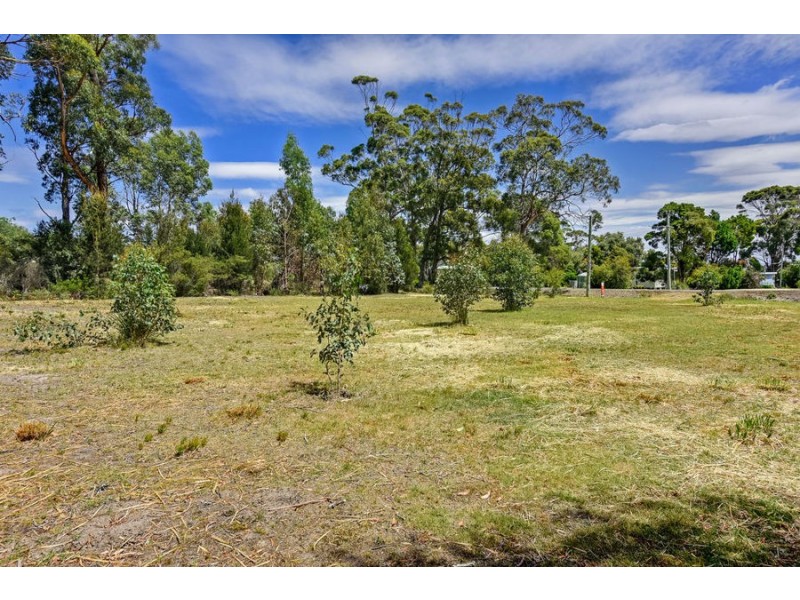 199 White Beach Road, White Beach TAS 7184