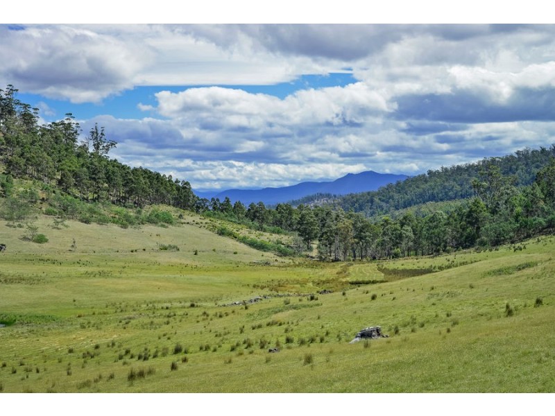 291 Grices Road, Tea Tree TAS 7017