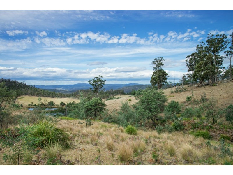 291 Grices Road, Tea Tree TAS 7017