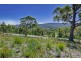 7 Mundy Court, Nubeena TAS 7184