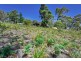 7 Mundy Court, Nubeena TAS 7184